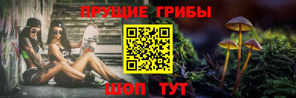 Псилоцибиновые грибы MAGIC MUSHROOMS Подольск